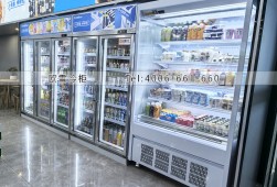 便利店冷柜-廣州哪里有賣便利店飲料柜？